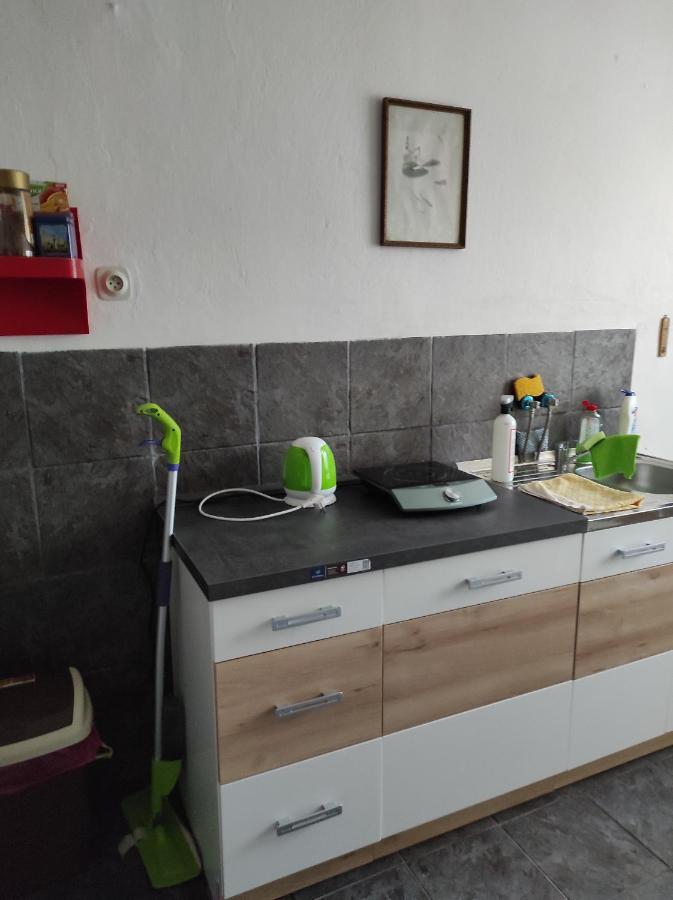 U Lesa Apartment Bohutin  Bagian luar foto